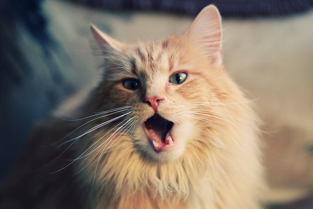 全国青少年“科技创新”篮球体验展在上海精彩亮相，推动科技与体育融合