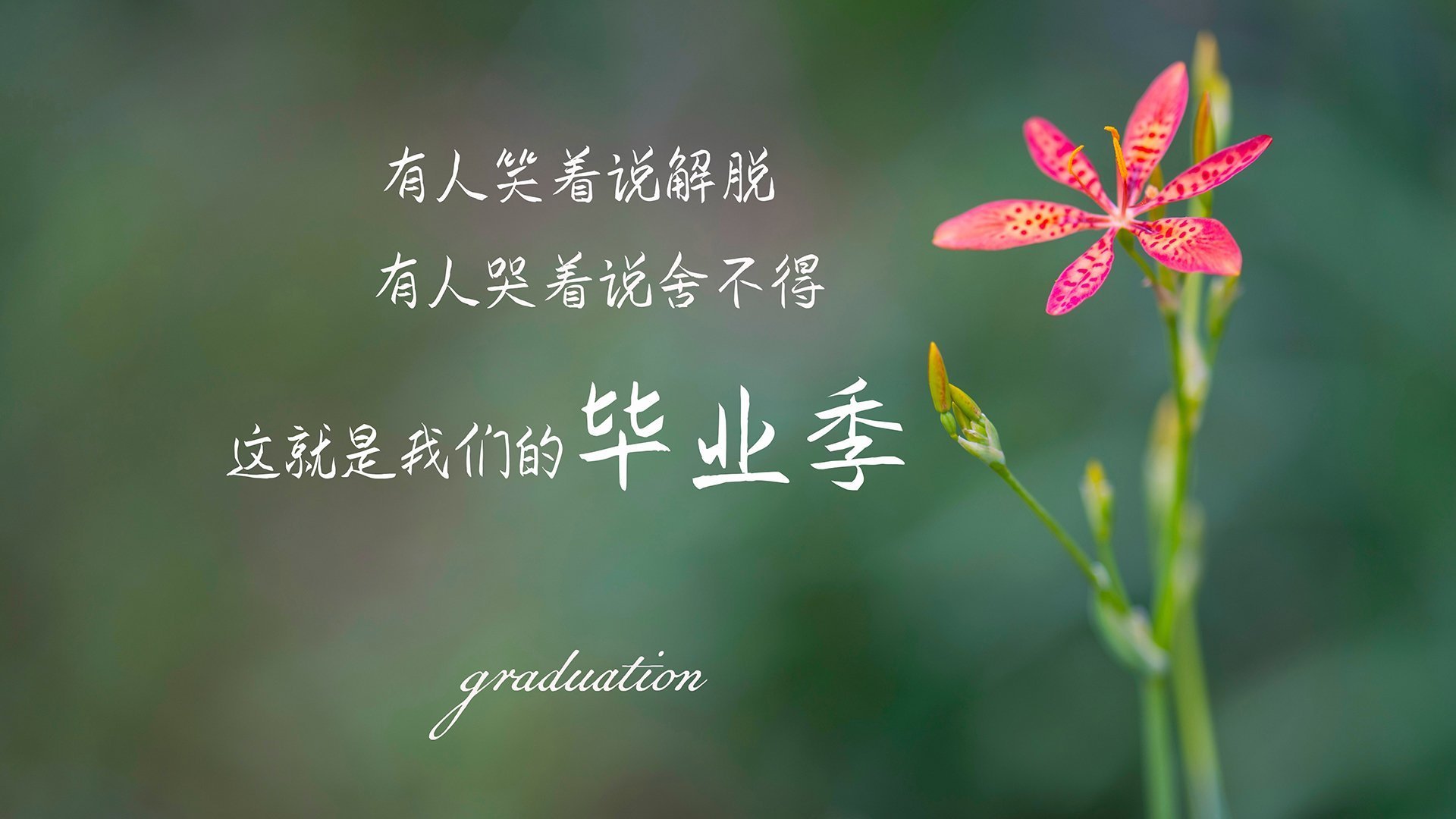 全国青少年“科技创新”篮球体验展在上海精彩亮相，推动科技与体育融合