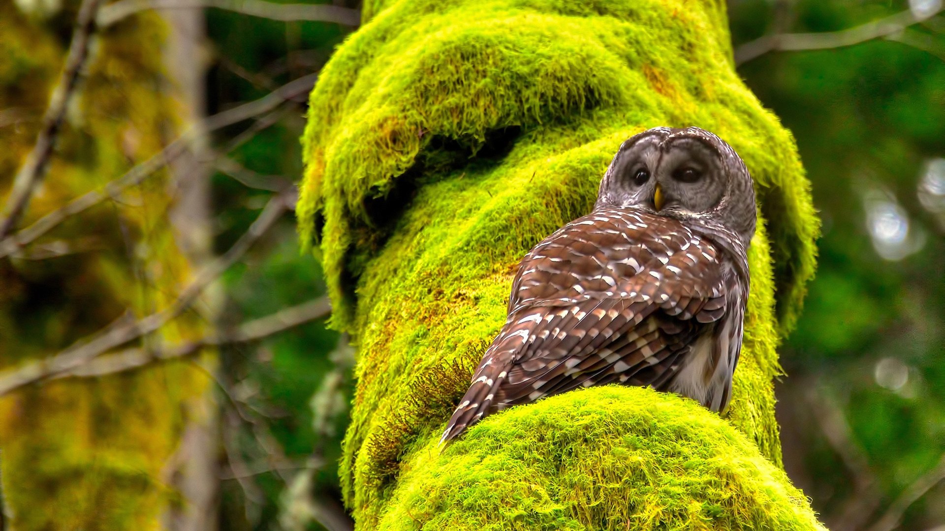 乐鱼电竞在线平台登录入口-赛后采访：听听选手怎么说，赛后采访回答