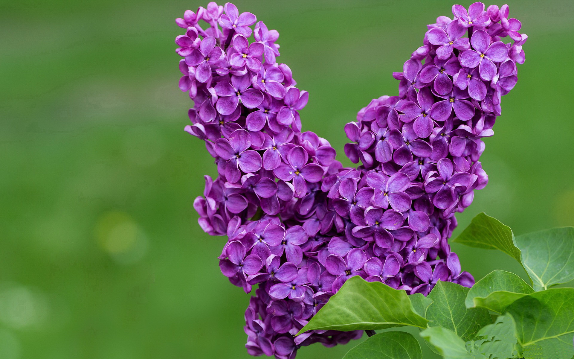 南特签下国际名将,期待他带领球队走向成功,南特集团董事长