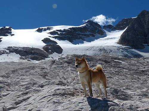 乐鱼体育-女足职业化进程加快，女足发展趋势