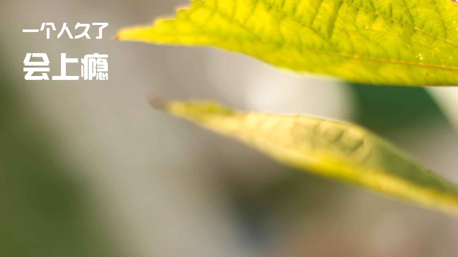 新赛季注定精彩,球员表现备受瞩目