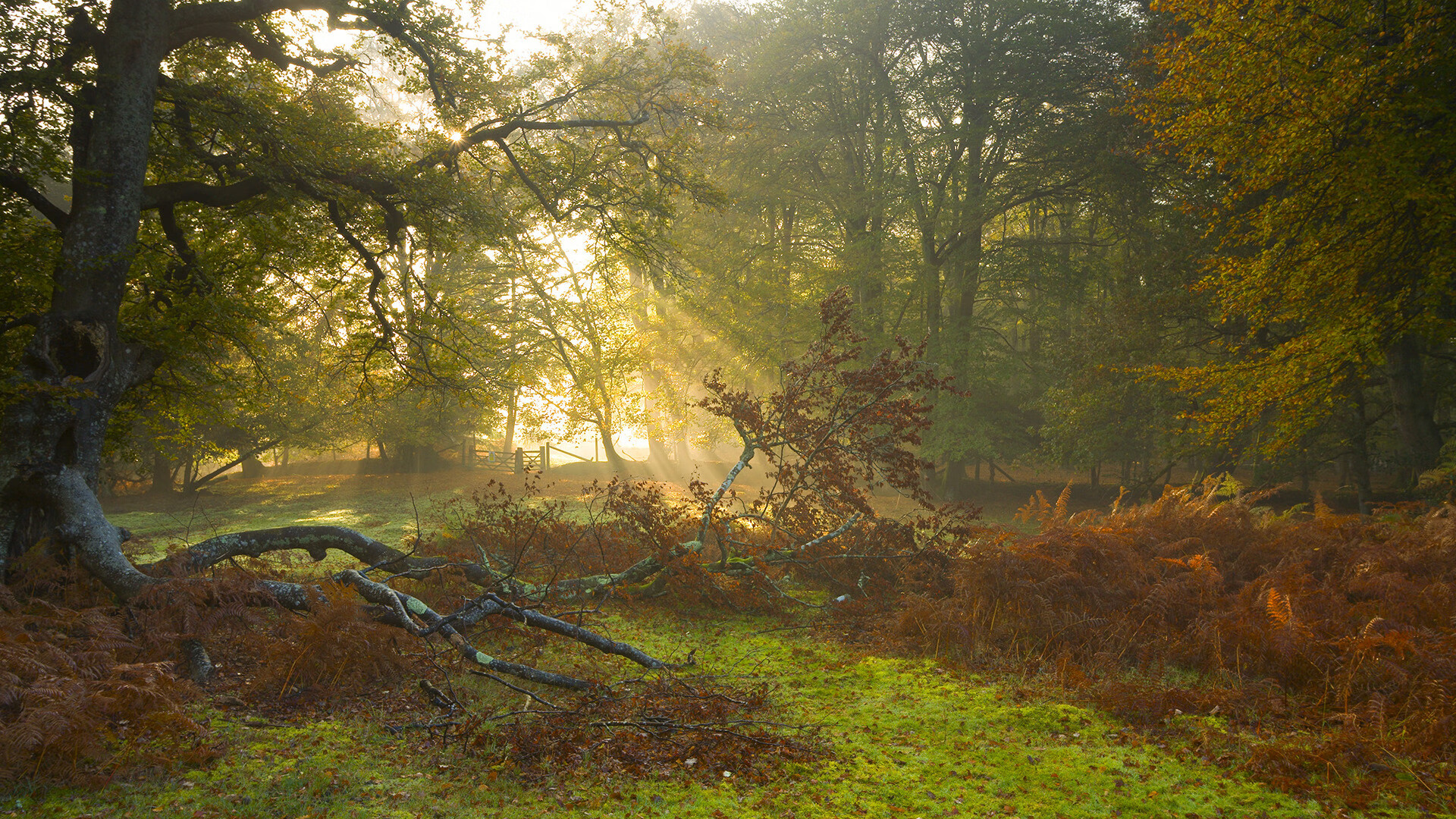 石家庄永昌客场不敌，积分榜排名持续低迷，石家庄永昌fc吧