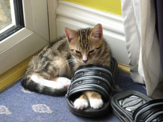 乐鱼娱乐app-蓝月亮客场负于阿森纳，争四形势严峻，蓝月亮是