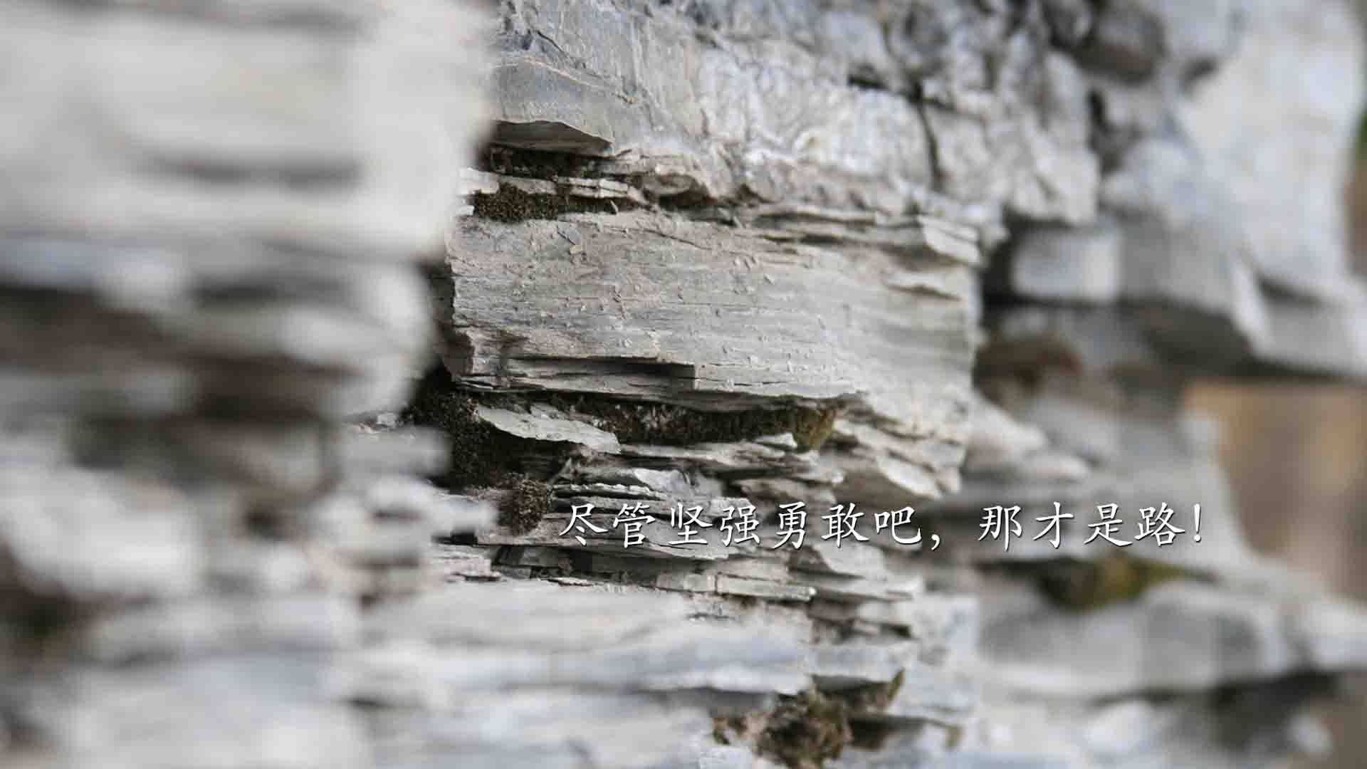 蓝月亮客场负于阿森纳,争四形势严峻,蓝月亮是