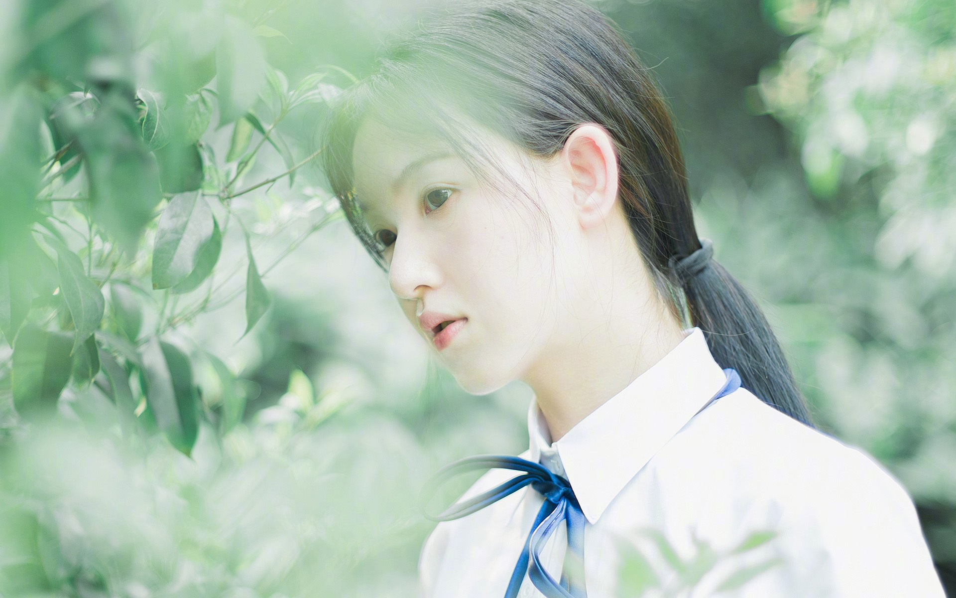 乐鱼电竞在线平台-雷恩主场擒对手，成功晋级下一轮，雷恩队球员名单