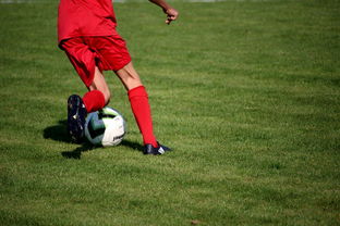 乐鱼体育登录-NBA球员技术动作进阶训练，nba球员训练方式