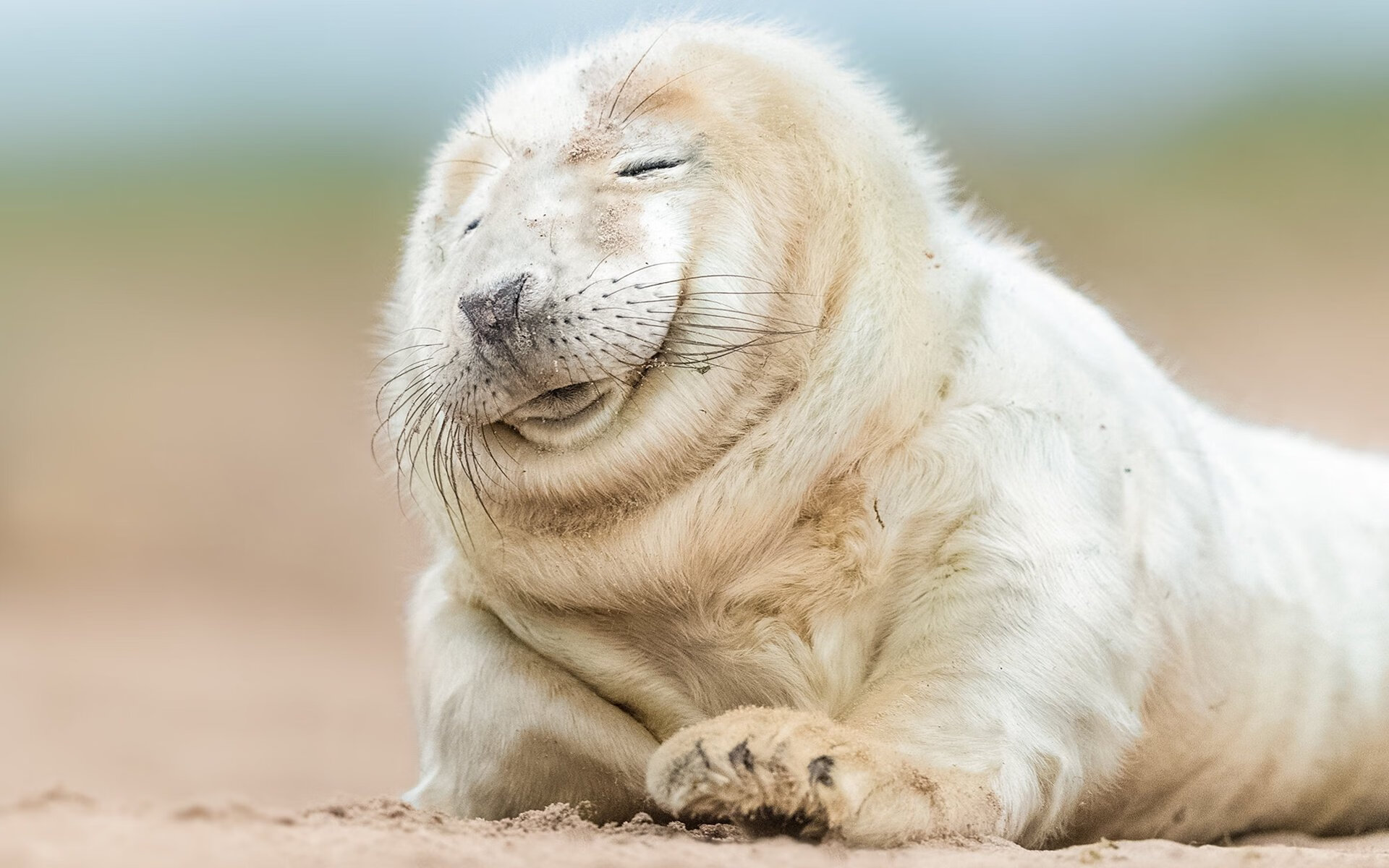 篮球运动员专项体能训练的个性化设计,篮球运动员的体能训练涵盖的六大项内容