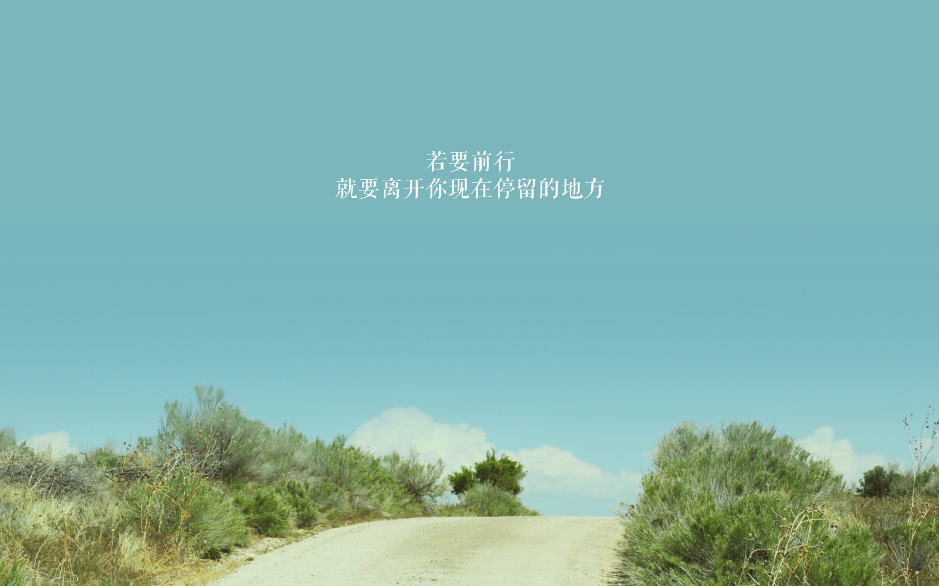 “2025世界运动会:定向越野赛场上的极速徒步”