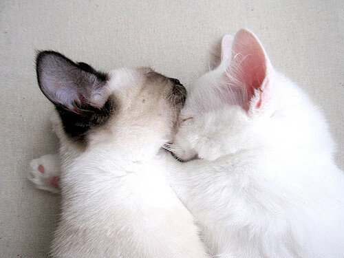 体育新闻中心上线体育赛事数据可视化展示平台,体育新闻(全程回放)