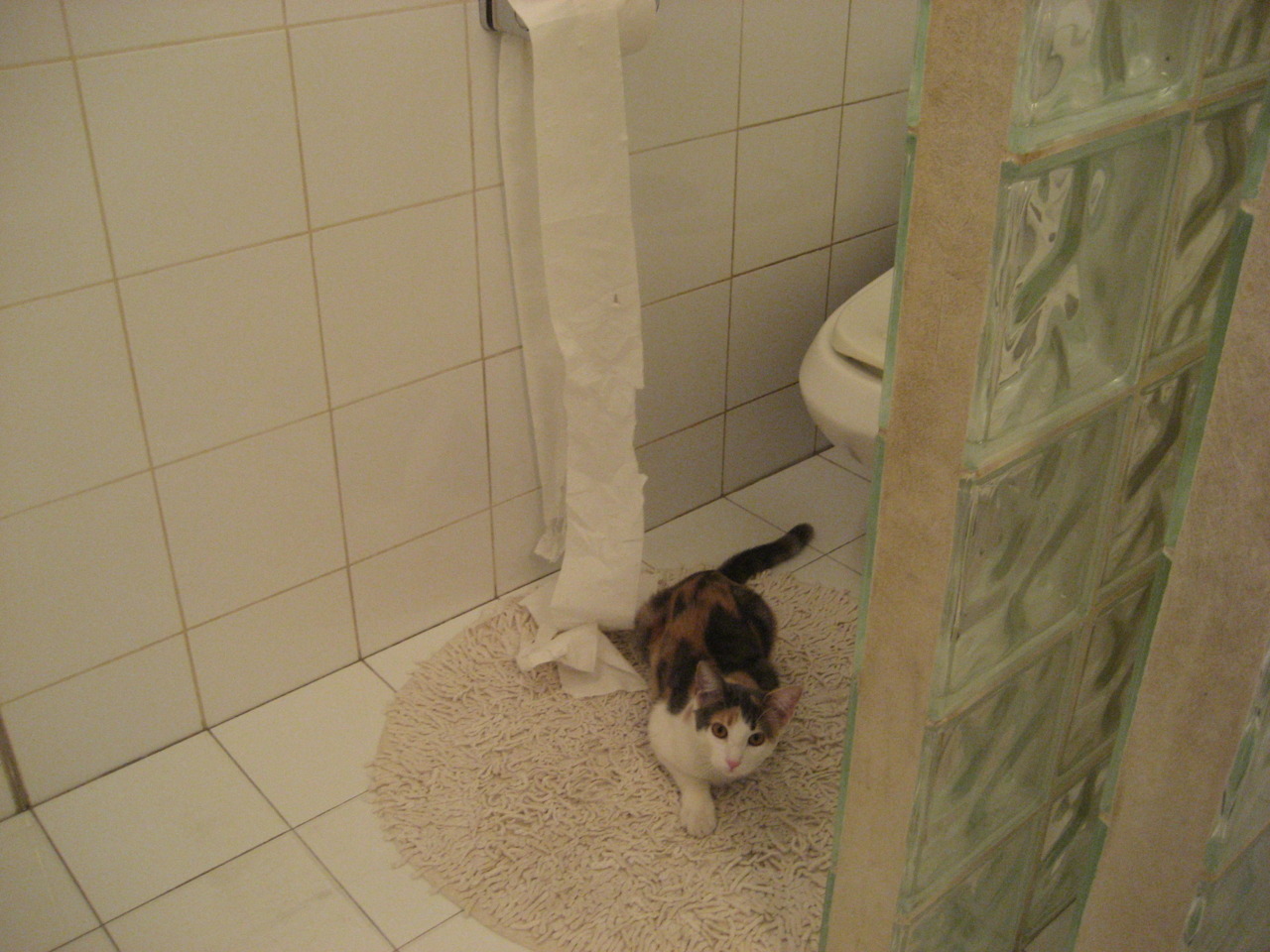 乐鱼（LEYU）体育-青少年跳绳挑战赛注重团队协作，中国青少年跳绳最厉害比赛视频