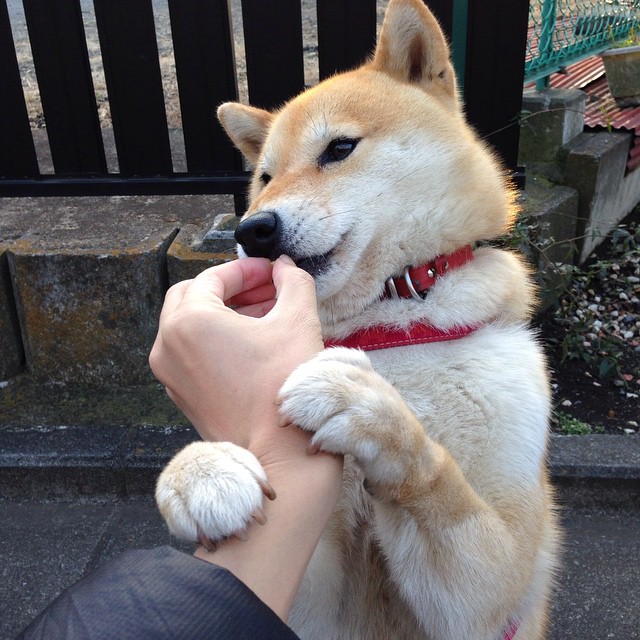 中小学篮球周边产品开发丰富校园体育文化,小学篮球文化活动周活动方案