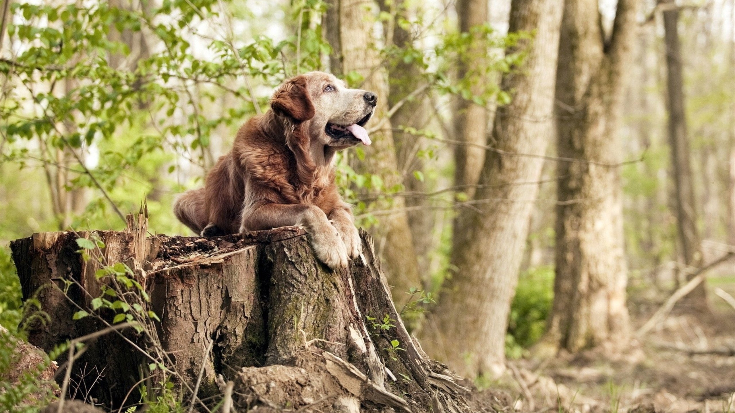 乐鱼体育-体育新闻中心发布高原训练基地气象安全报告，高原训练地点