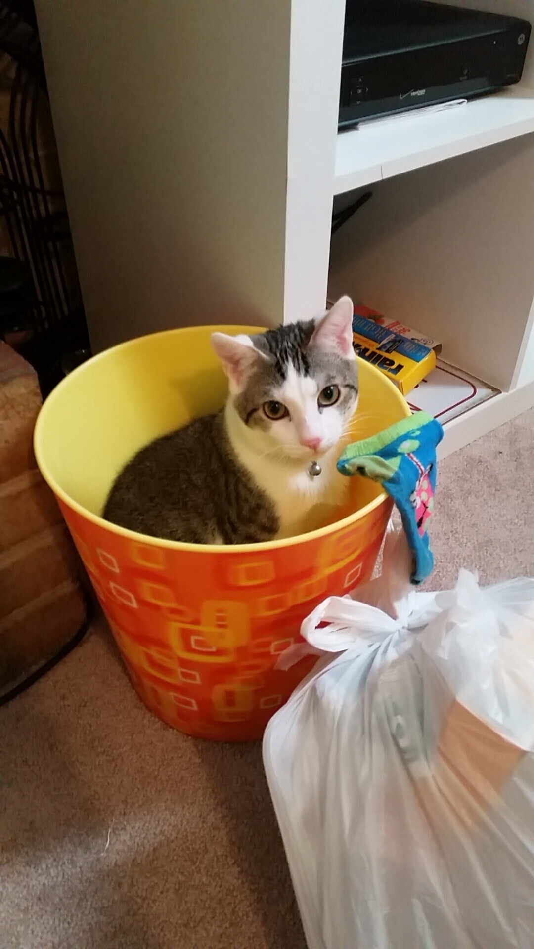 意甲传控体系：精准配合带来精彩瞬间，意甲传统强队