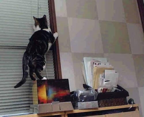 意甲联赛商业价值近年变化,意甲球队估值