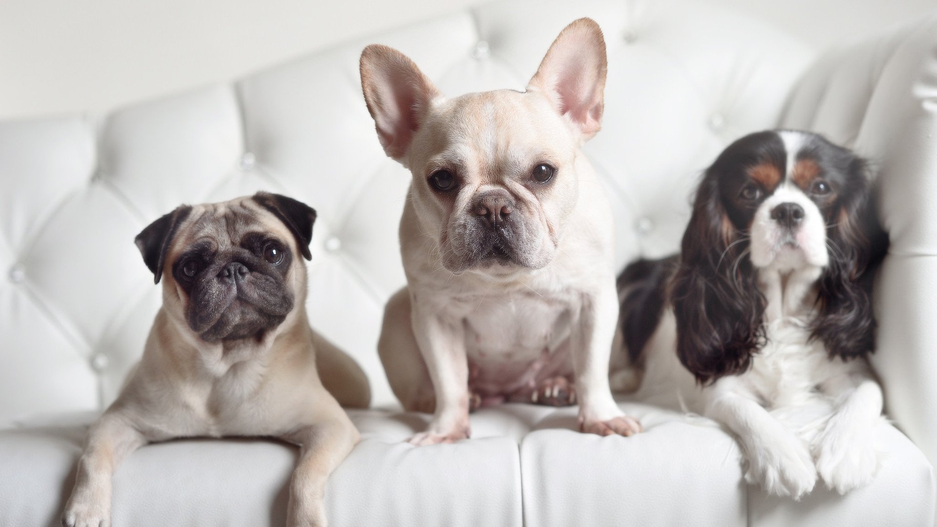 乐鱼电竞在线平台登录入口-欧洲杯变阵奇招：战术变幻带来惊喜！，欧洲杯怎么变2021