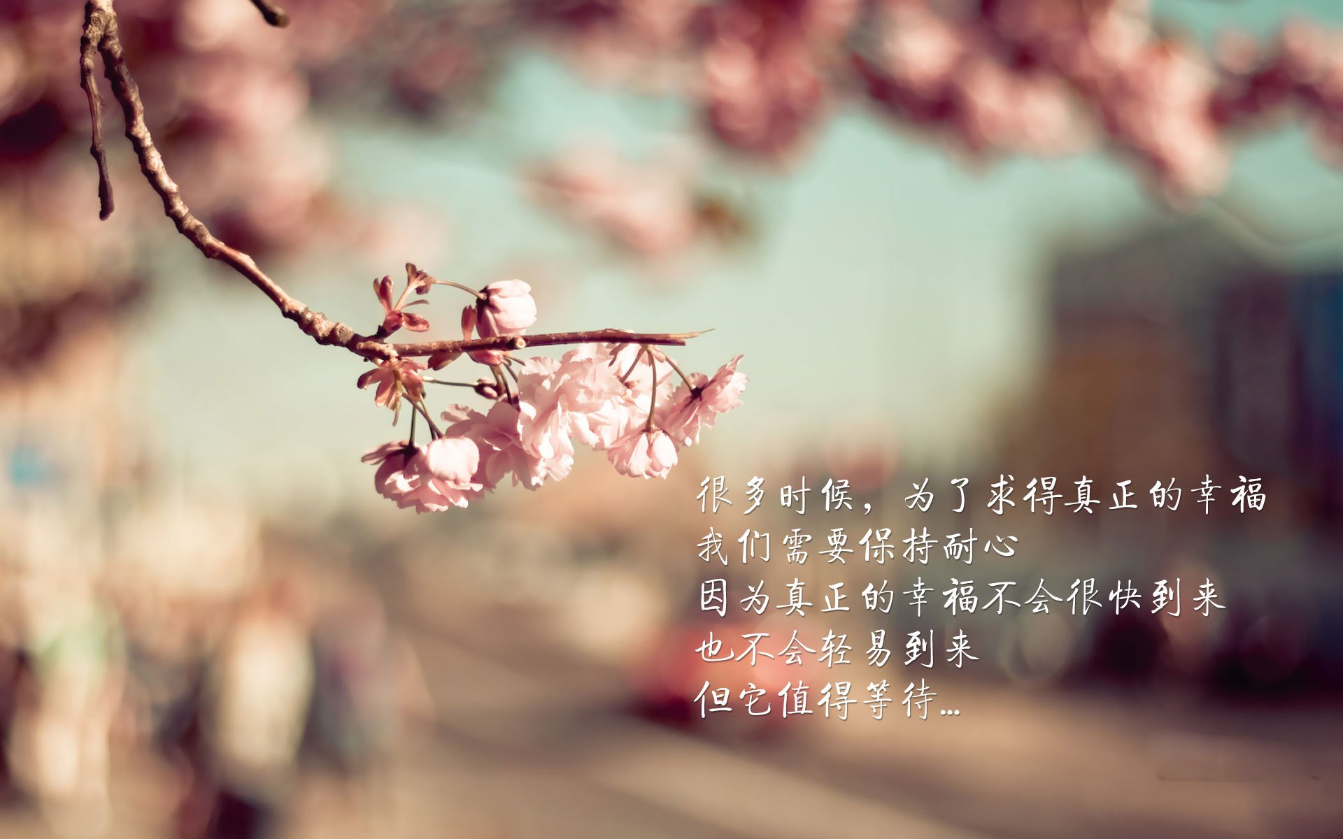 leyu乐鱼-欧洲杯终极争夺：战术布置中的破局技巧，欧洲杯揭幕战难打